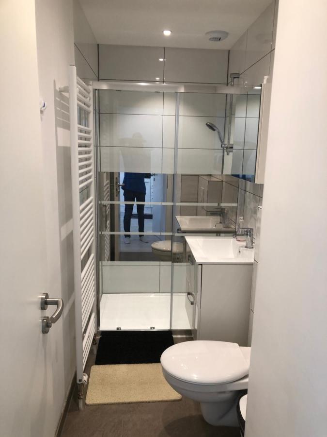 Appartement Willa Chez Willi Niederschaeffolsheim Exteriör bild